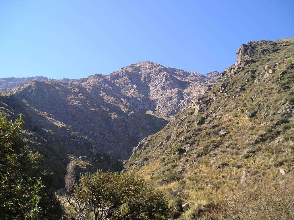 Las Dalias Villa Las Rosas Bagian luar foto
