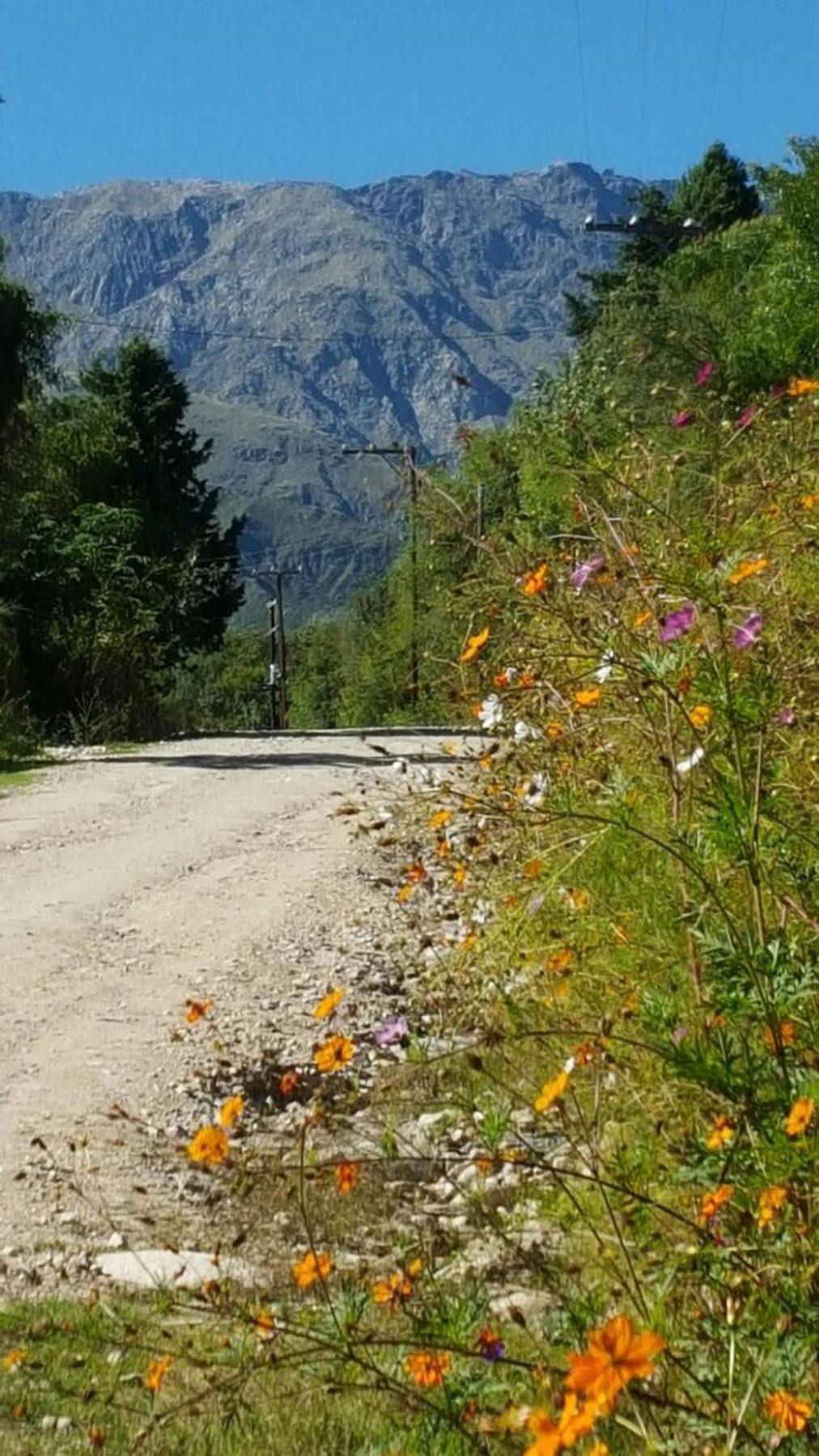 Las Dalias Villa Las Rosas Bagian luar foto